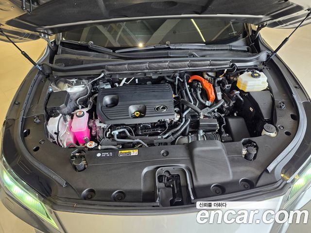 Лексус RX350h 2023 — миниатюра 6