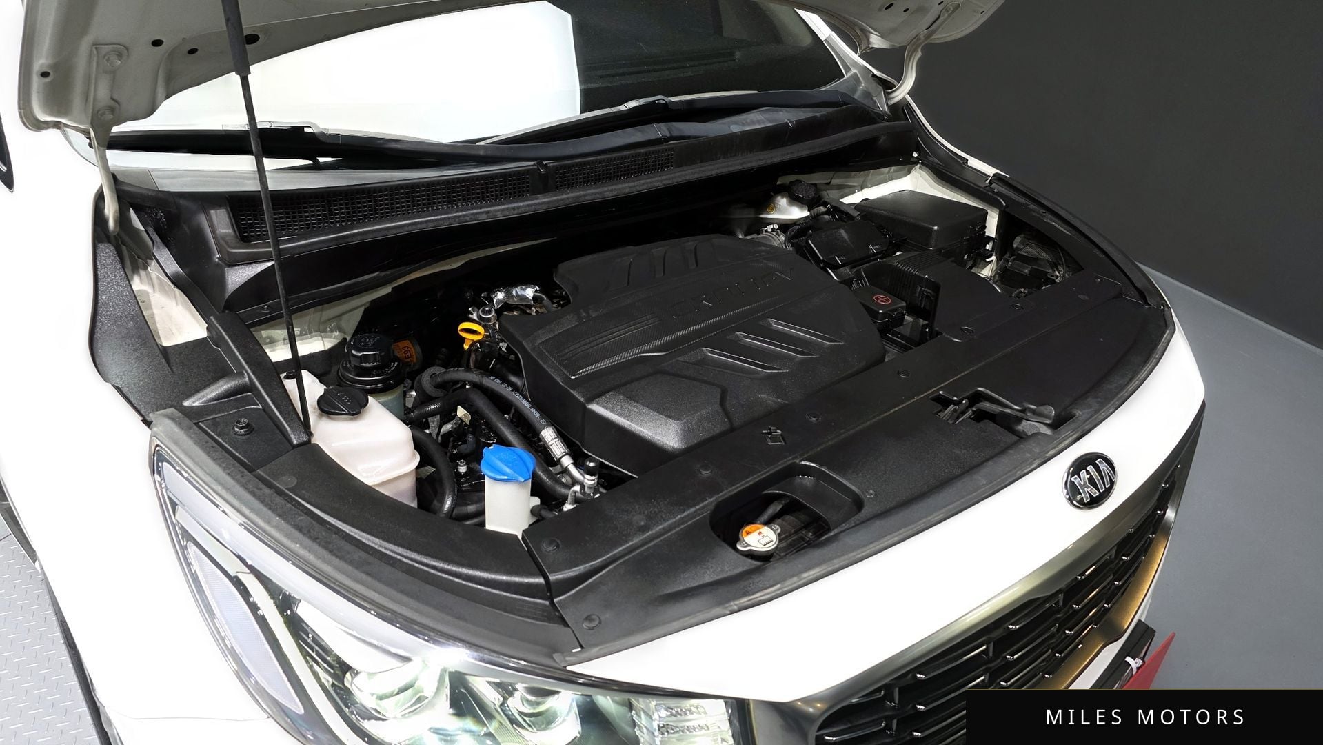 Kia Canival 2019 — миниатюра 6