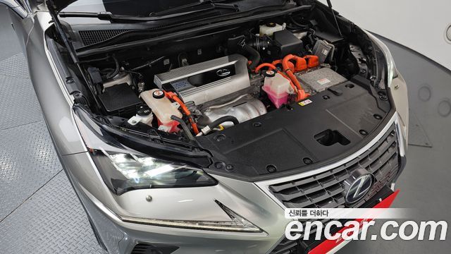 Лексус NX300h 2019 — миниатюра 6