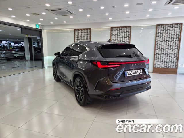 Лексус NX350h 2025 — миниатюра 2