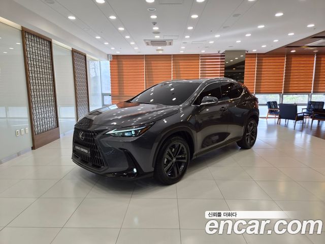Лексус NX350h 2025 — миниатюра 13