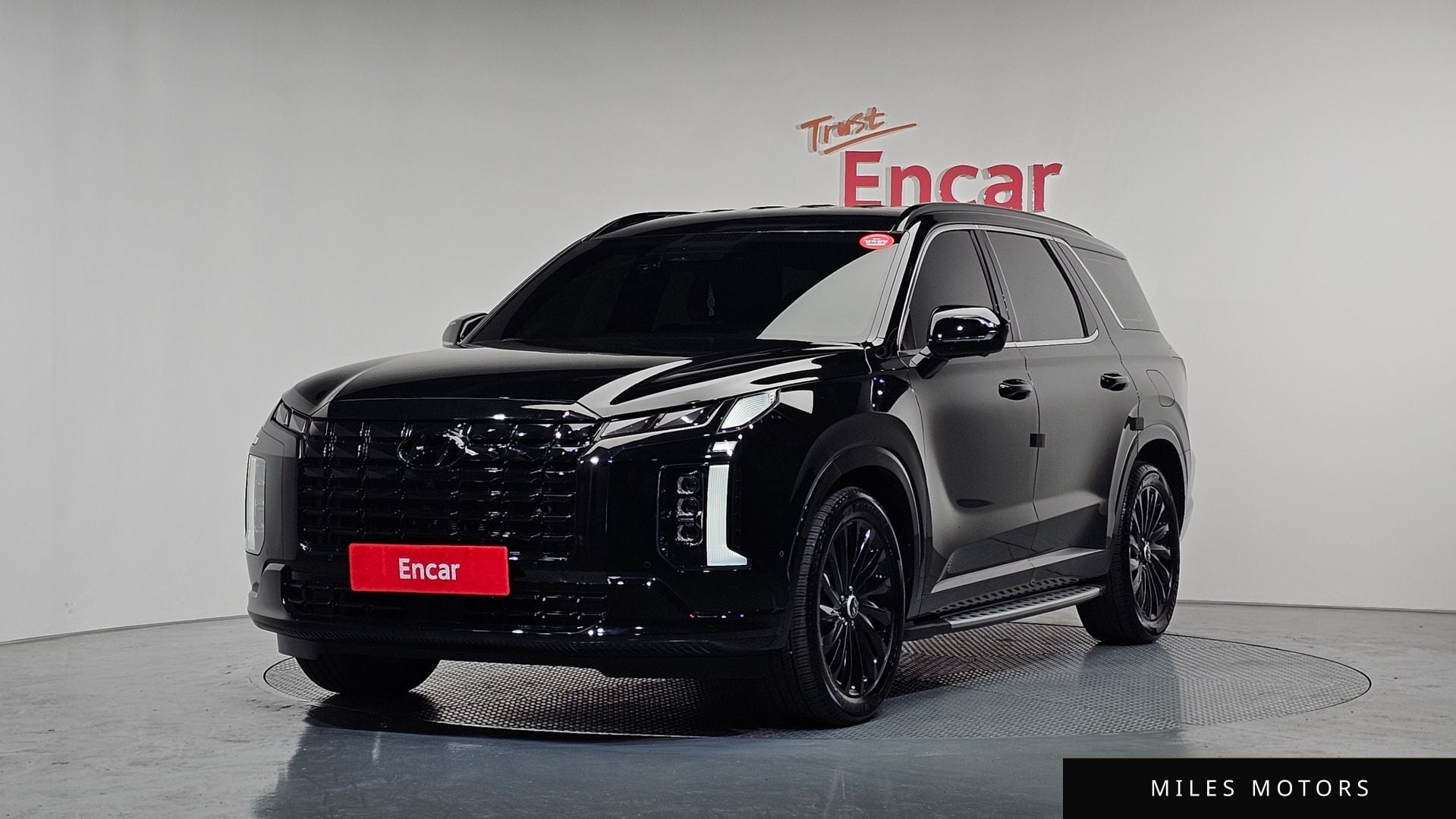 Hyundai Palisade 2024 — фото 1 из 12