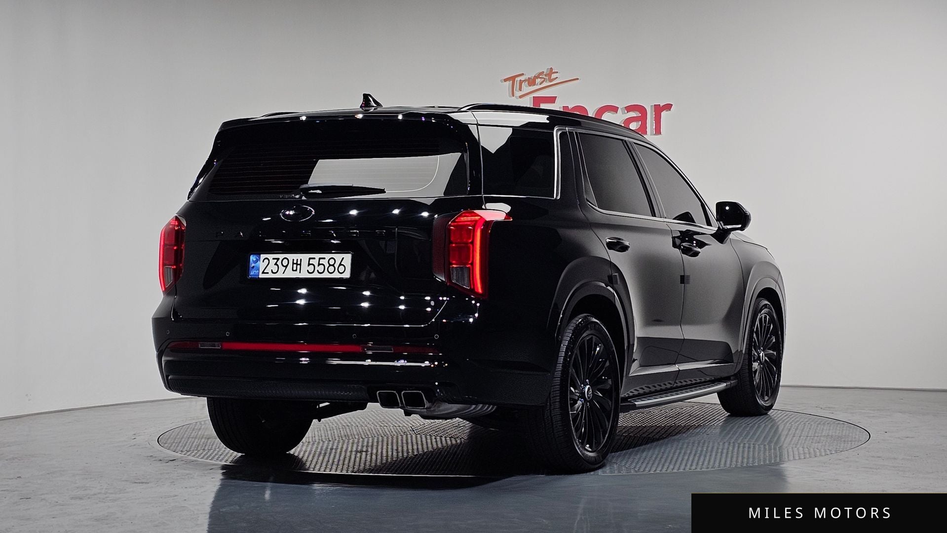 Hyundai Palisade 2024 — миниатюра 2