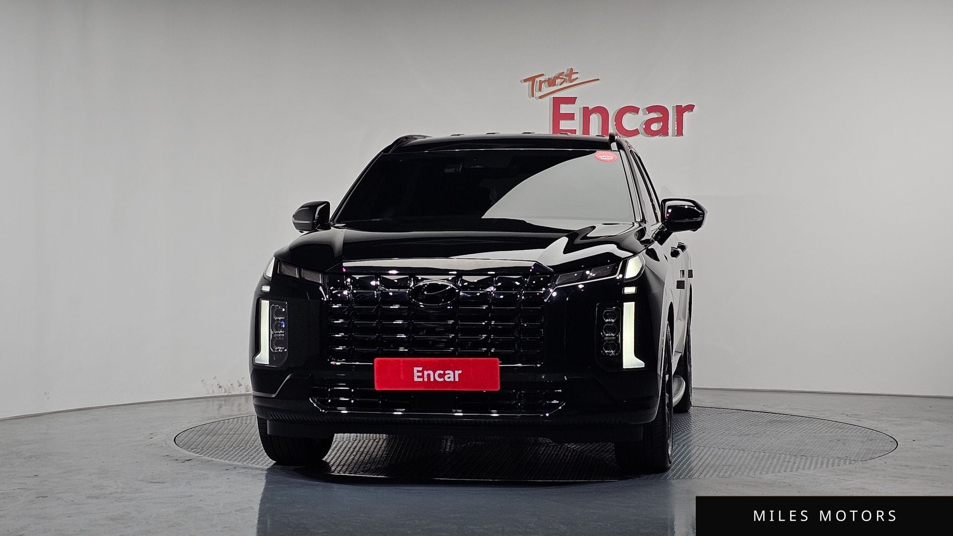 Hyundai Palisade 2024 — миниатюра 3