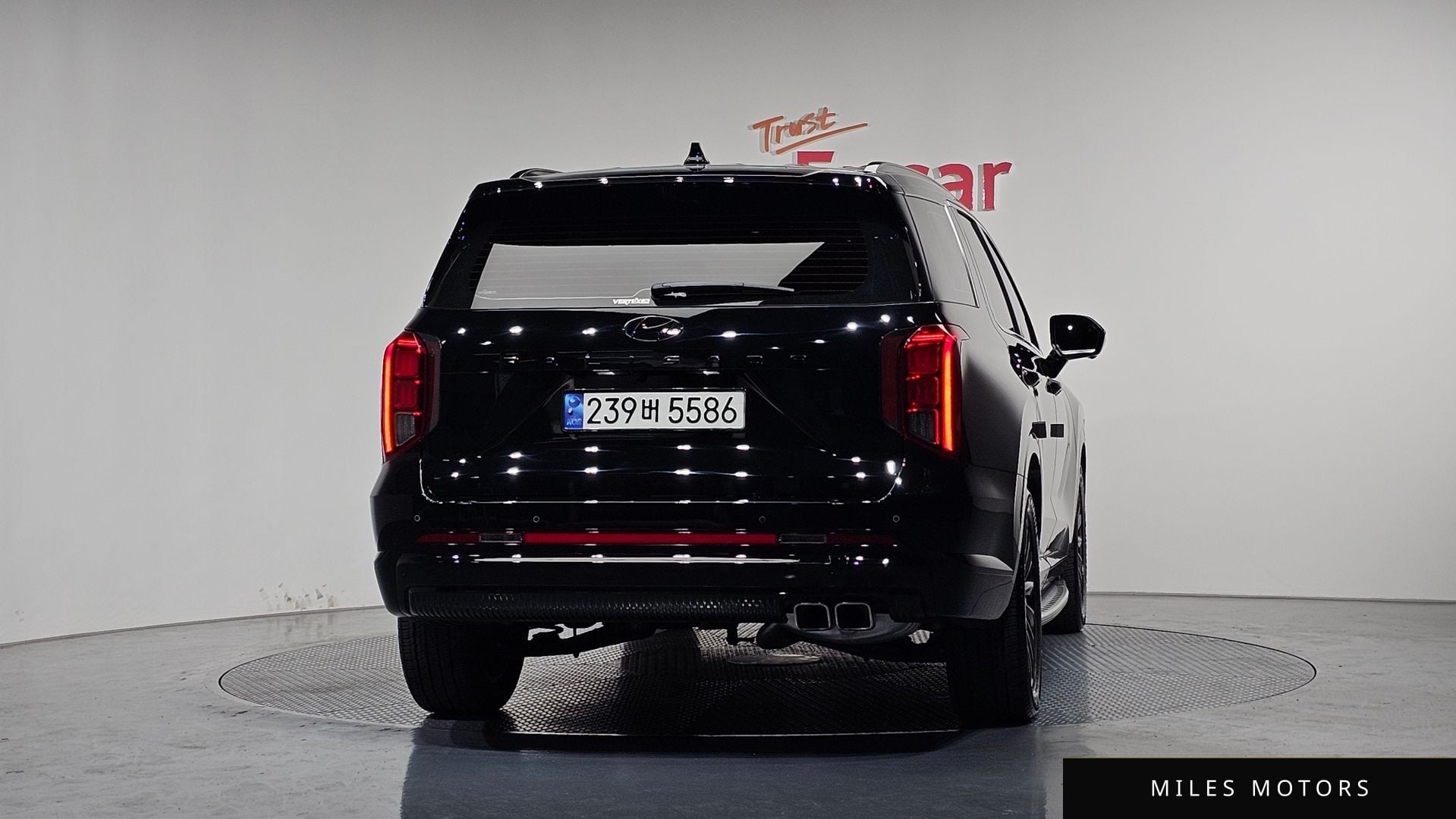 Hyundai Palisade 2024 — миниатюра 4