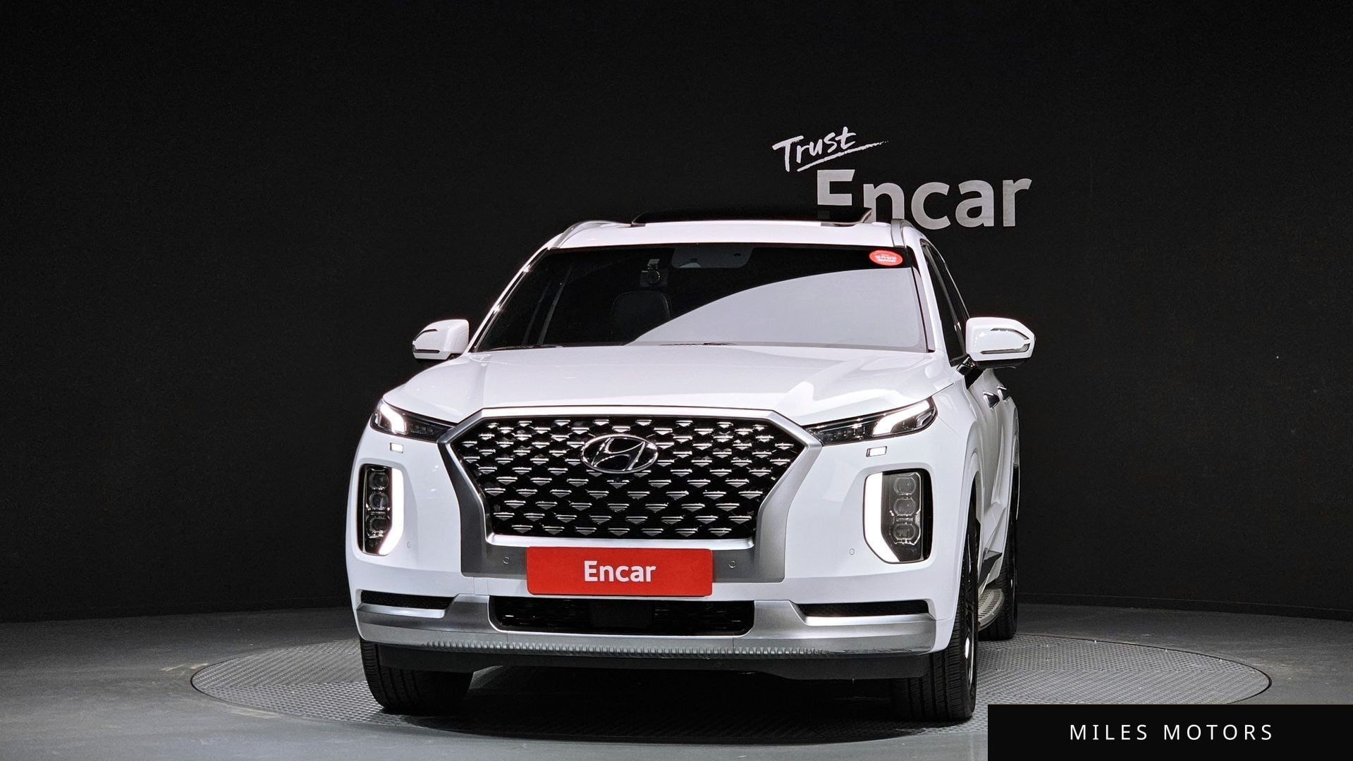 Hyundai Palisade 2021 — миниатюра 3