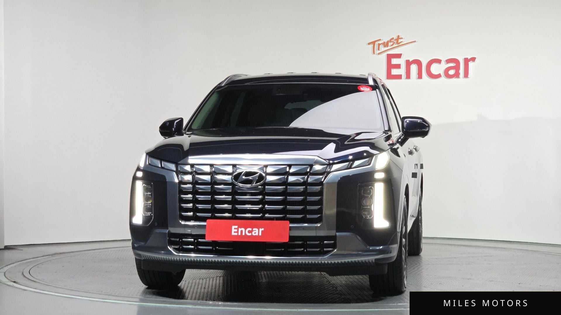 Hyundai Palisade 2024 — миниатюра 3