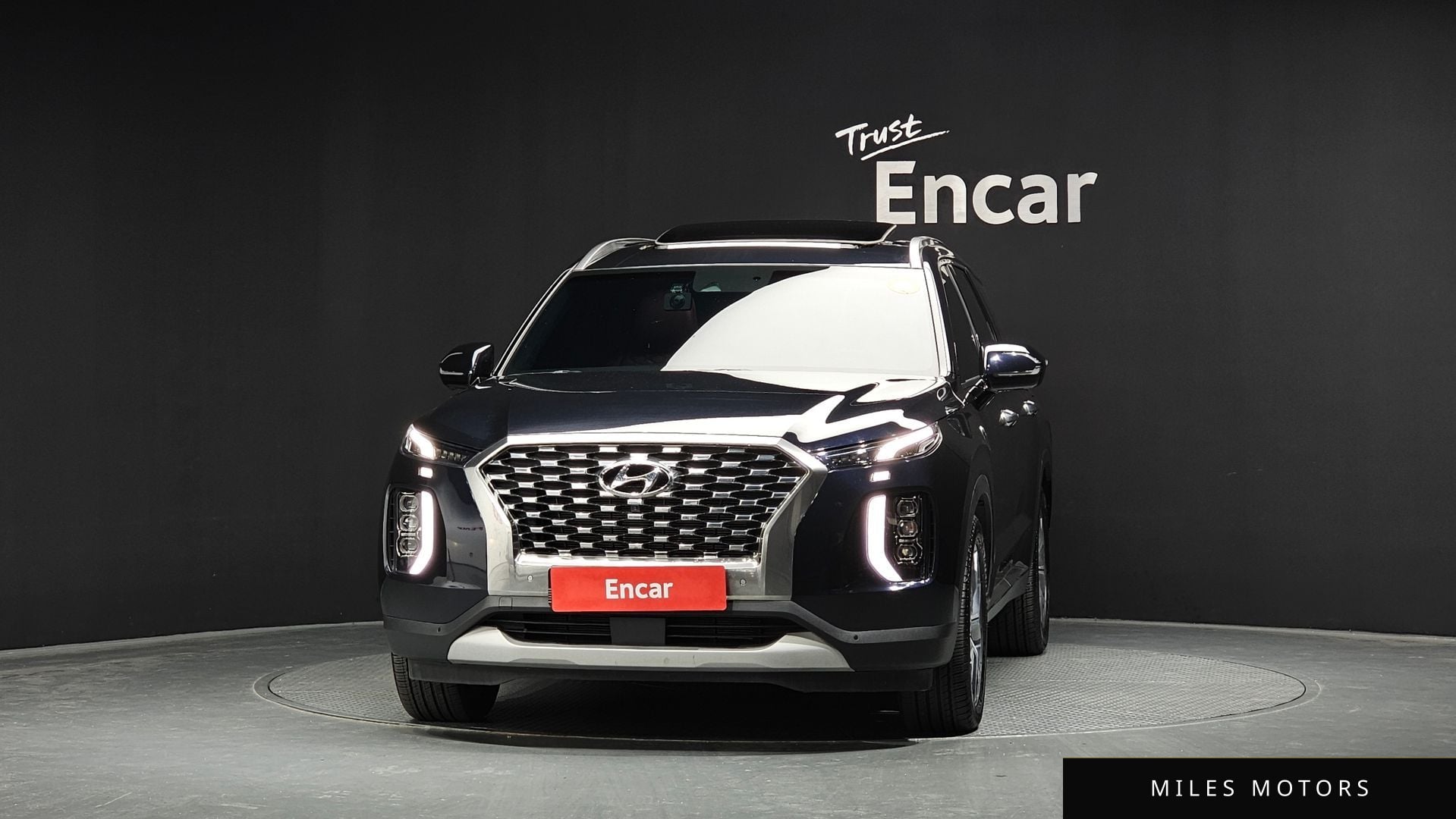 Hyundai Palisade 2019 — миниатюра 3