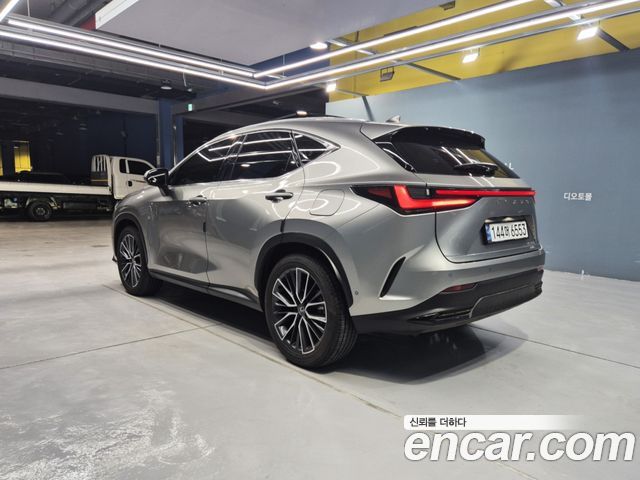 Лексус NX350h 2025 — миниатюра 14