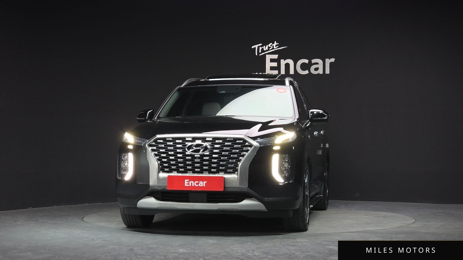 Hyundai Palisade 2019 — миниатюра 3