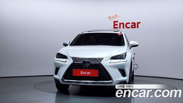 Лексус NX300h 2019 — миниатюра 3