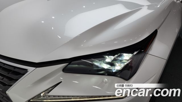 Лексус NX300h 2019 — миниатюра 8
