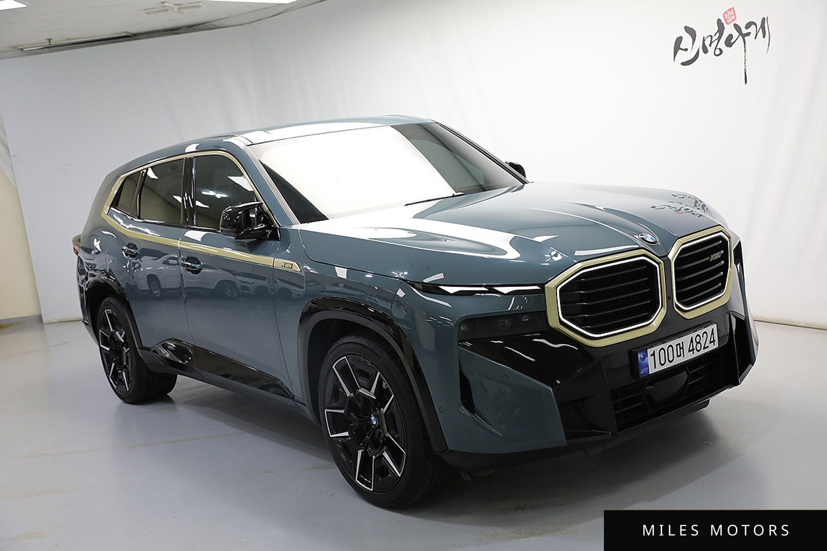 BMW XM (G09) 2024 — миниатюра 2