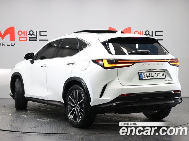 Лексус NX350h 2025 — миниатюра 2