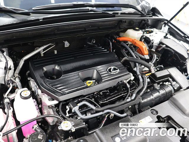 Лексус NX350h 2025 — миниатюра 17