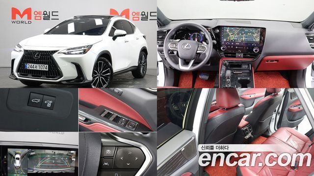 Лексус NX350h 2025 — миниатюра 25