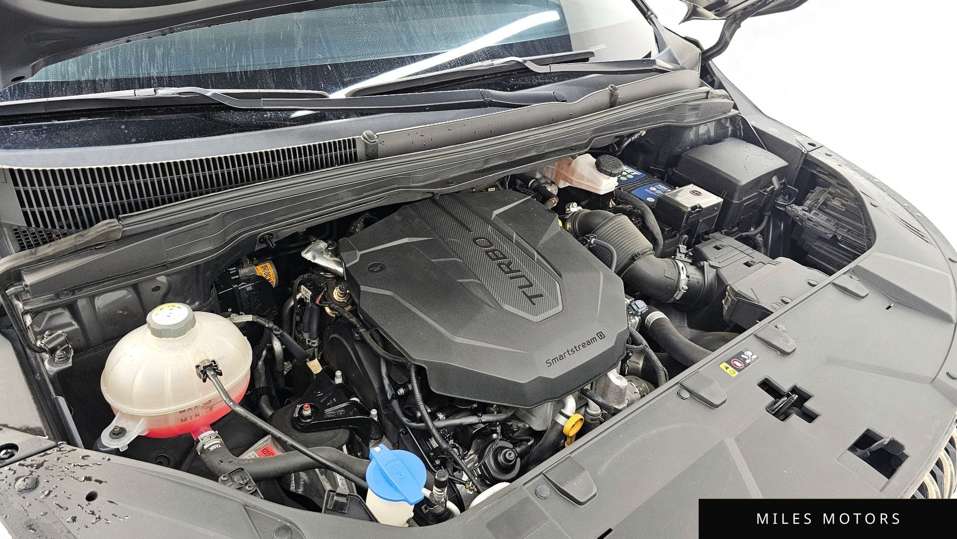 Kia Carnival 2023 — миниатюра 6