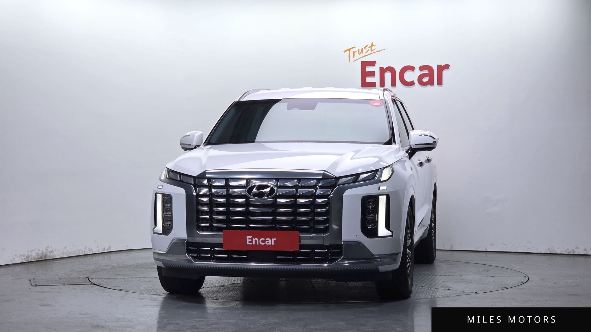 Hyundai Palisade 2023 — миниатюра 3