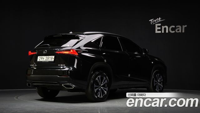 Лексус NX300 2019 — миниатюра 2