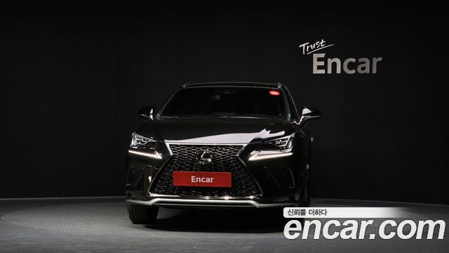 Лексус NX300 2019 — миниатюра 3