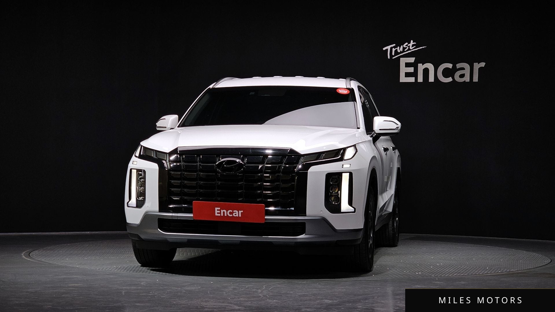 Hyundai Palisade 2023 — миниатюра 3
