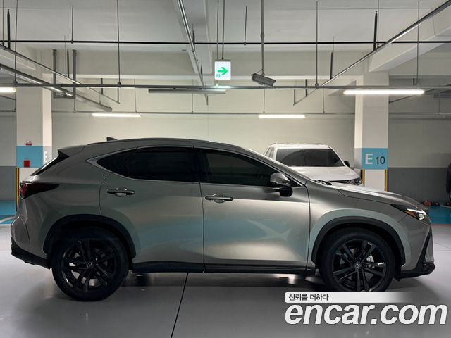 Лексус NX350h 2025 — миниатюра 4