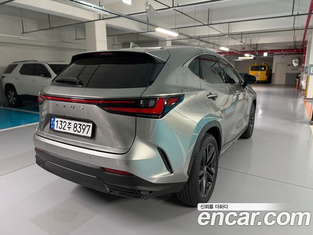 Лексус NX350h 2025 — миниатюра 5