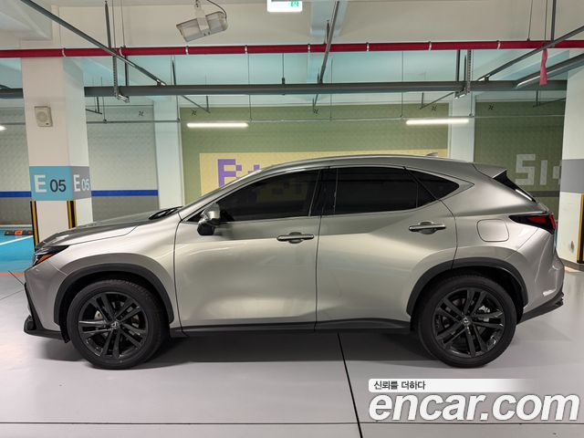 Лексус NX350h 2025 — миниатюра 8