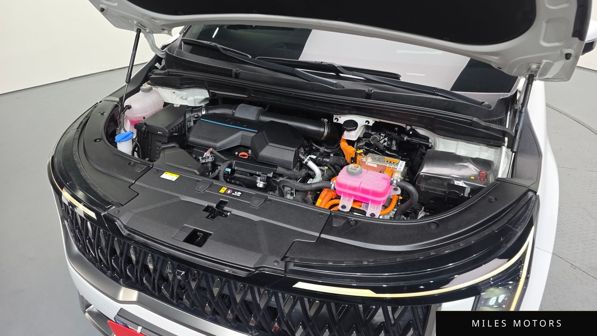 Kia Canival 2024 — миниатюра 6