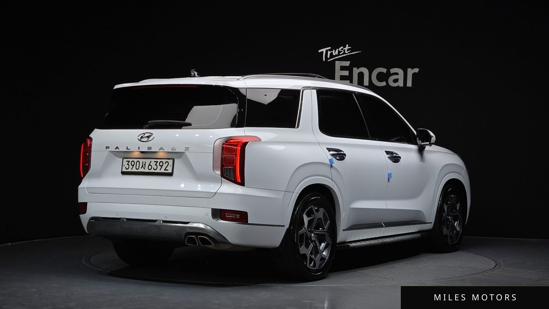 Hyundai Palisade 2022 — миниатюра 2