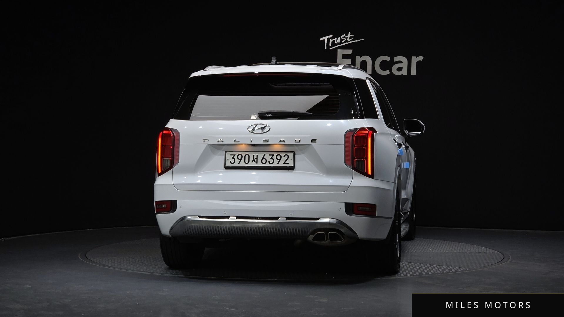Hyundai Palisade 2022 — миниатюра 4