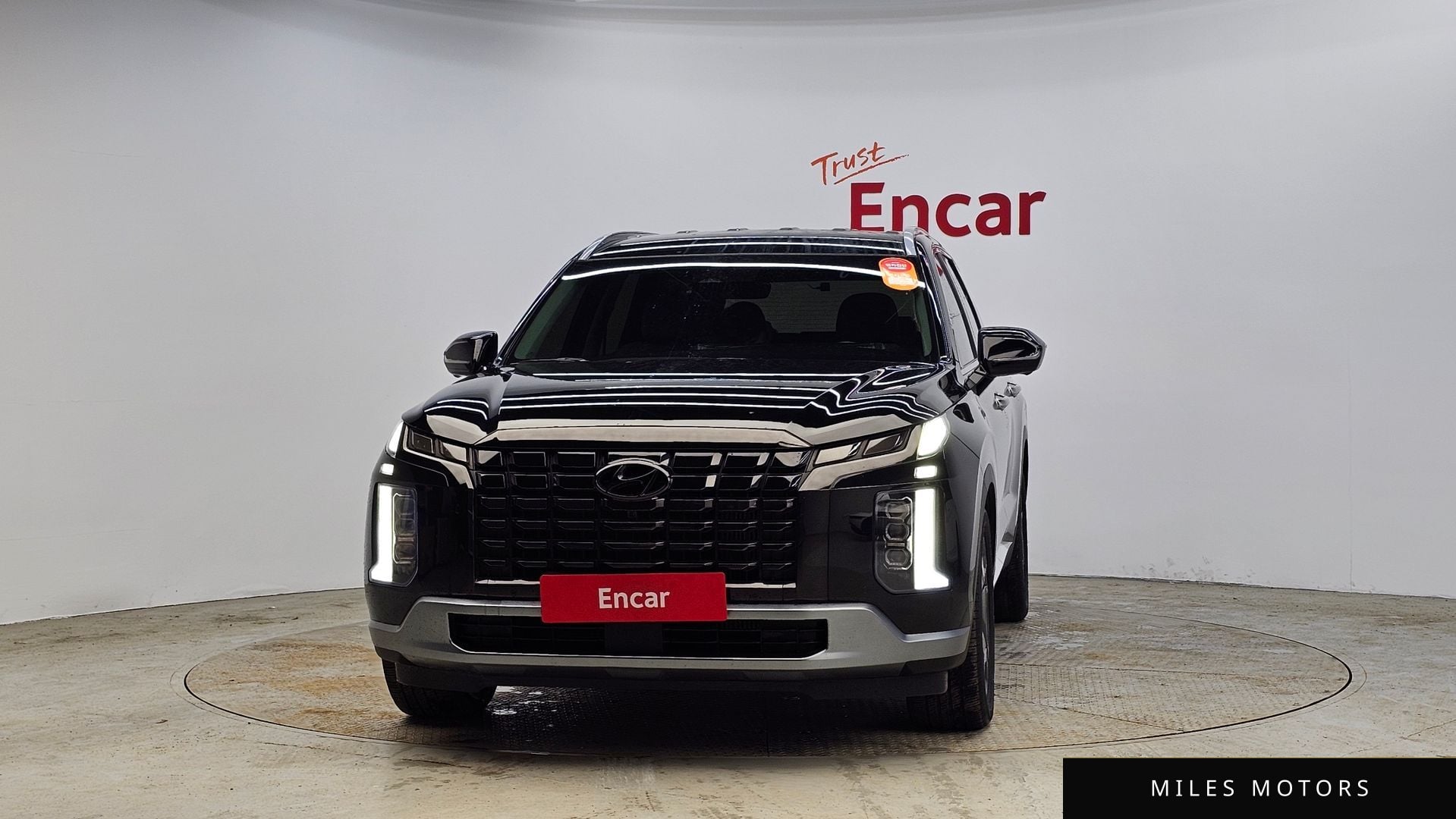 Hyundai Palisade 2024 — миниатюра 3
