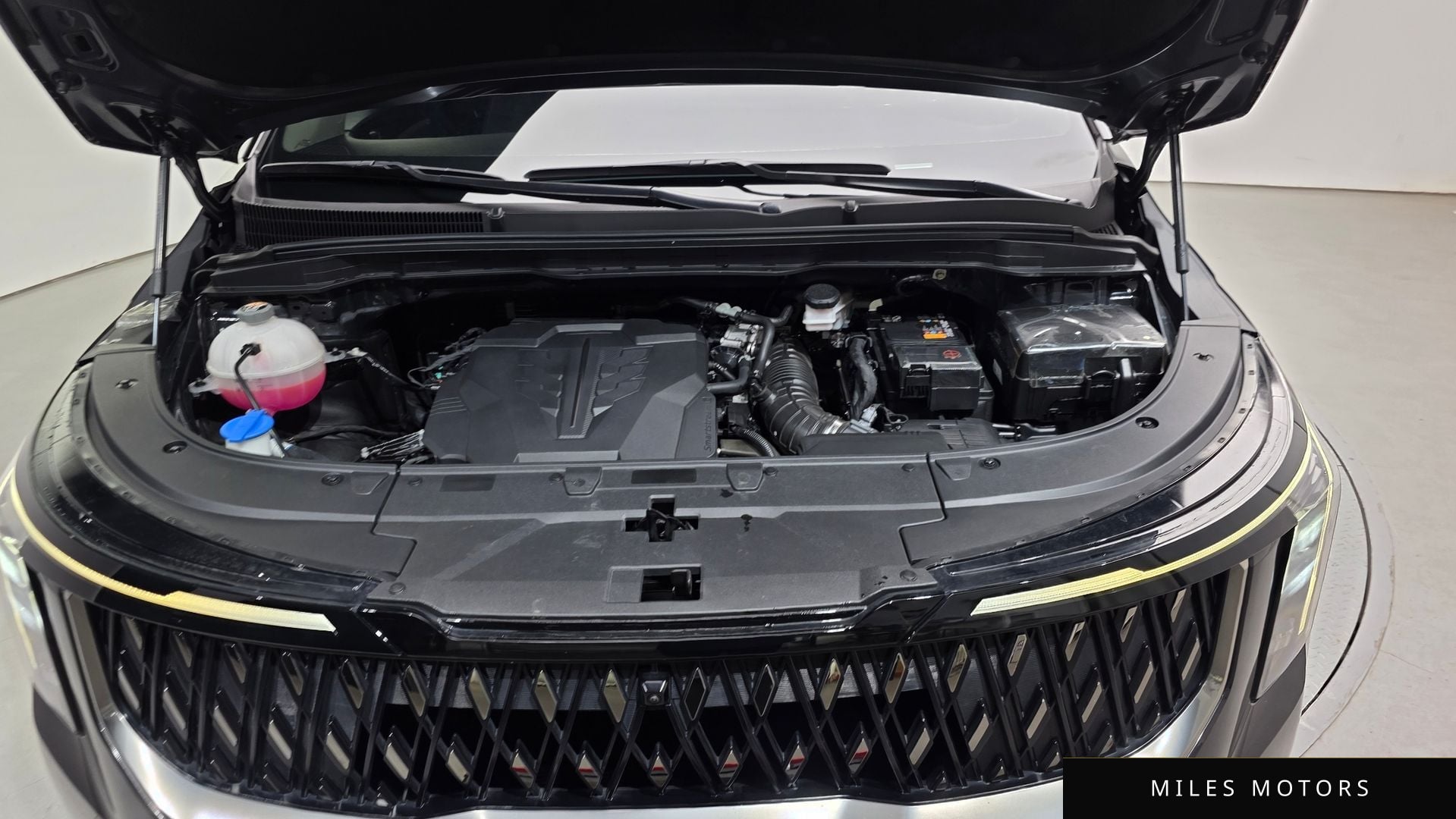 Kia Canival 2024 — миниатюра 6