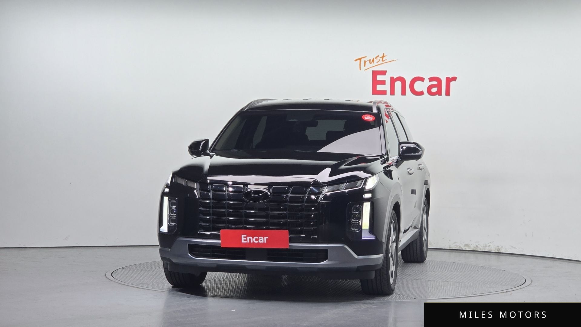 Hyundai Palisade 2024 — миниатюра 3