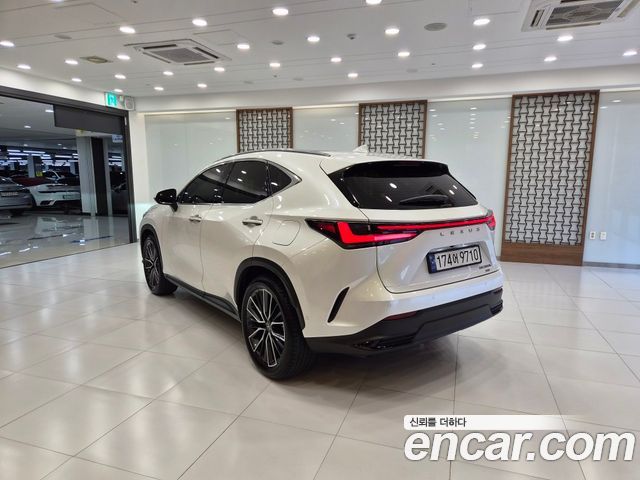 Лексус NX350h 2024 — миниатюра 2
