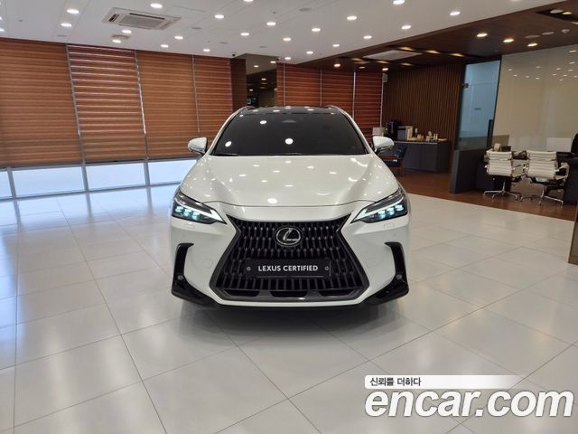 Лексус NX350h 2024 — миниатюра 3