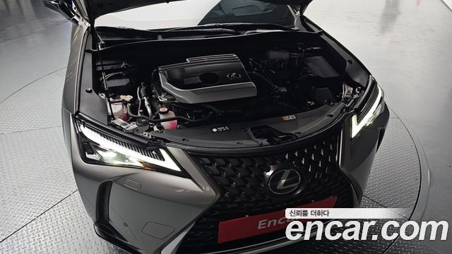 Лексус UX250h 2020 — миниатюра 6