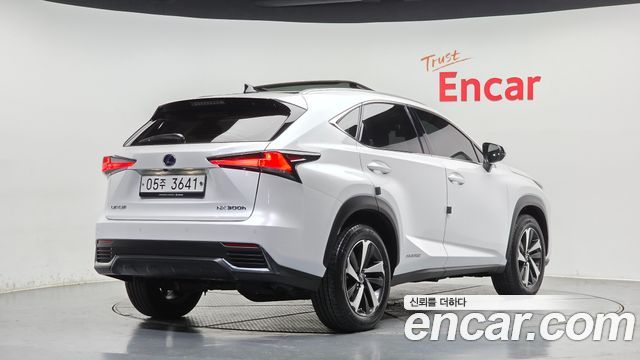 Лексус NX300h 2019 — миниатюра 2