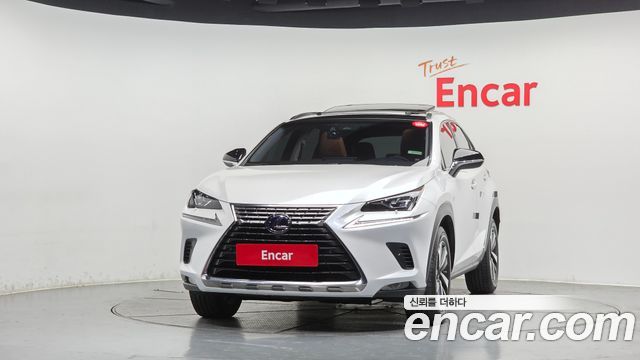 Лексус NX300h 2019 — миниатюра 3