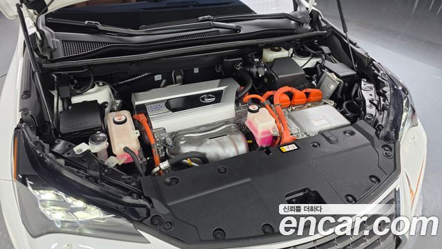 Лексус NX300h 2019 — миниатюра 6