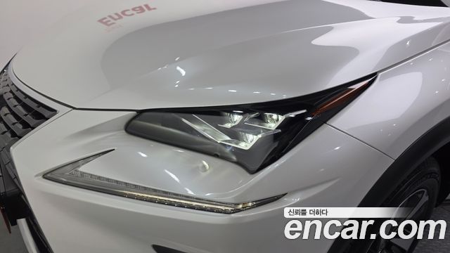 Лексус NX300h 2019 — миниатюра 8