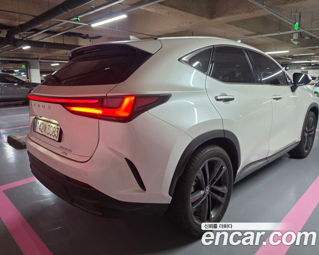 Лексус NX350h 2025 — миниатюра 2