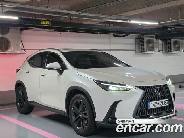 Лексус NX350h 2025 — миниатюра 5