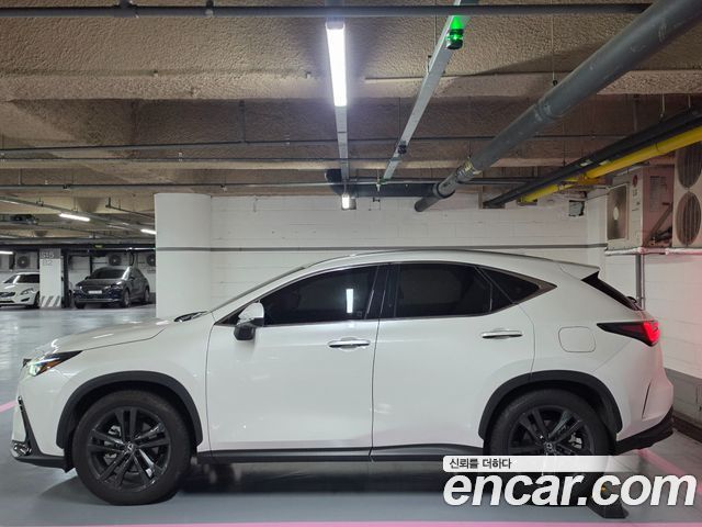 Лексус NX350h 2025 — миниатюра 6