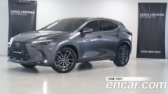 Лексус NX350h 2025 — миниатюра 12