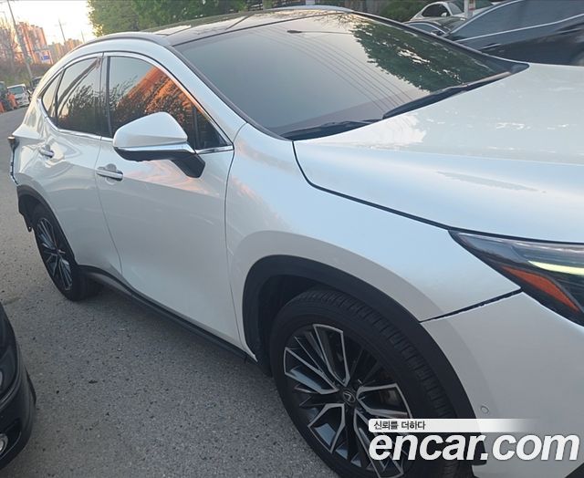 Лексус NX350h 2024 — миниатюра 2