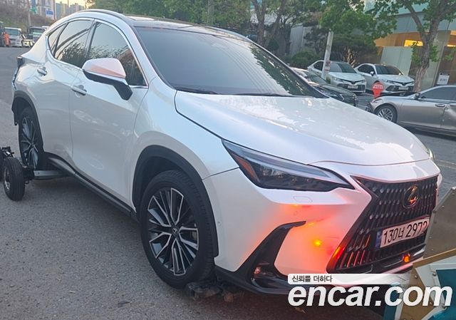 Лексус NX350h 2024 — миниатюра 4