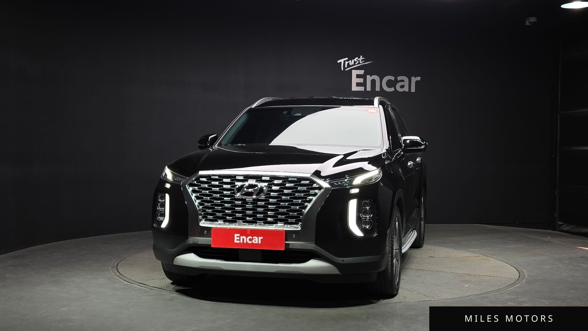 Hyundai Palisade 2019 — миниатюра 3