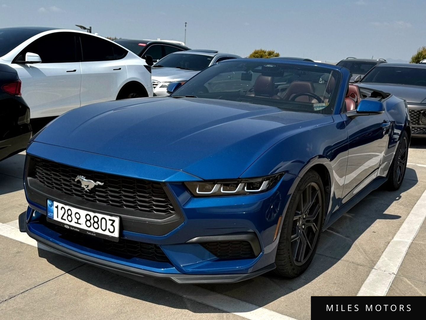 Ford Mustang 2024 — миниатюра 2
