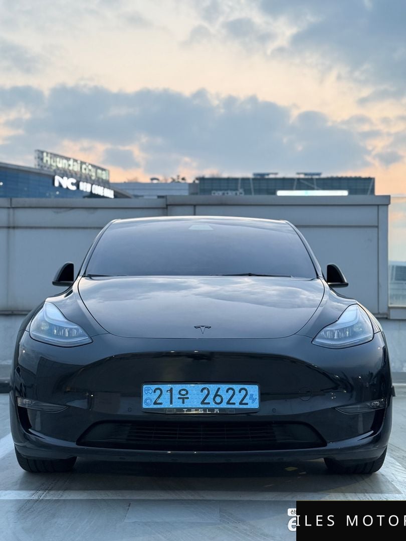 Tesla Model Y 2021 — миниатюра 3